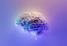 Primer paciente con chip cerebral Neuralink ya mueve el mouse solo con el pensamiento