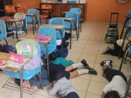 Estrategias de Seguridad Escolar Frente a la Violencia en Tamaulipas