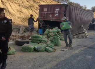 Accidente vial deja daños materiales en carretera Rumbo Nuevo