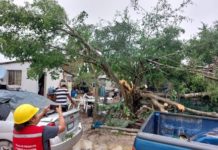 Núcleo de Tormenta causa afectación en poblado La Pesca