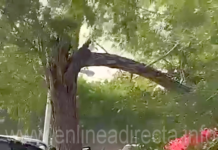 Atropellan a persona en centro recreativo La Playita