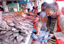COEPRIS vigila que vendan productos de mar en buen estado
