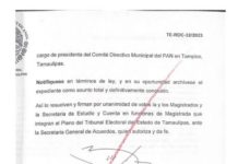 Restituye Tribunal Electoral derechos partidistas y presidencia del PAN Tampico a Nora Gómez