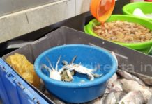 Encarece la pulpa de jaiba, el robalo y la negrilla