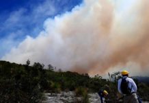 Atiende Tamaulipas tres Incendios Forestales
