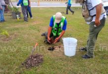 Invitan a la población a mejorar el ambiente sembrando arbolitos