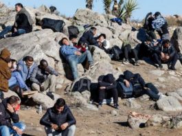 Detectan en puente internacional actos de tráfico de humanos; tres niños y dos adultos