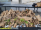 Decomisan 300 plantas vivas en dos embarques en puente internacional