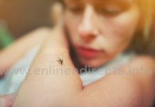 Se dispara el dengue; ya van 42 casos