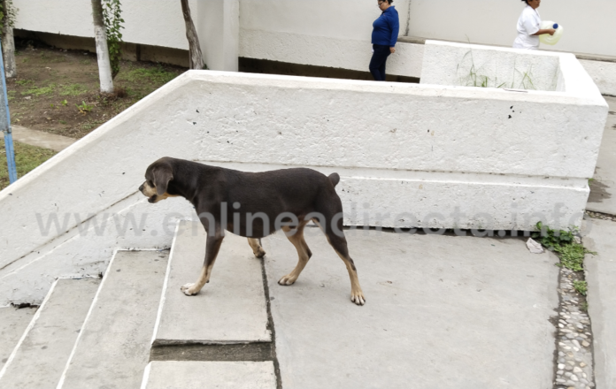 PhotoRoom-20240320_194606