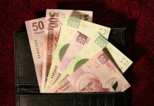 ¿Cuántas bacterias puede tener un billete?