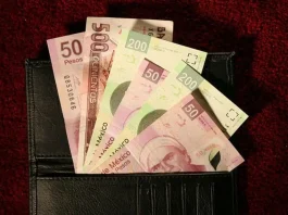 ¿Cuántas bacterias puede tener un billete?