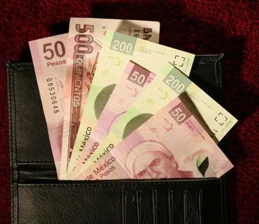 ¿Cuántas bacterias puede tener un billete?