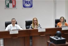 IETAM aprueba manifestaciones de intención de aspirantes a candidaturas independientes