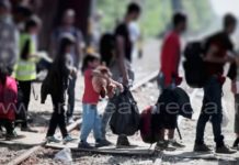 Migrantes expuestos a todo, requieren de ayuda urgente