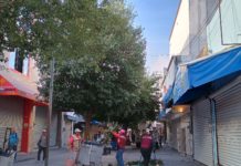 Realizan corte y recolección de ramas de algunos árboles que se encuentran sobre la calle peatonal Hidalgo