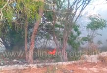 Bomberos acuden a incendios en predios baldíos que dejaron daños materiales
