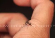 Importante participar para conbatir el dengue