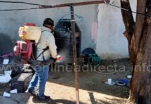 Tamaulipas registra 71 casos de dengue previenen a la población