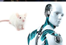 Crean robots con tejidos musculares de seres vivos