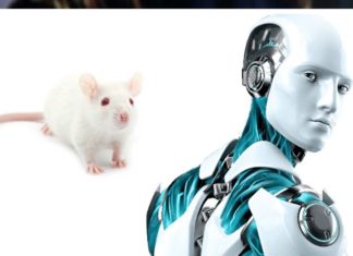 Crean robots con tejidos musculares de seres vivos