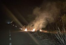Bomberos sofocan incendio en carretera Tampico-Mante