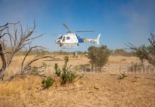 Salvan agentes especiales de EU a migrantes de morir en el desierto de Laredo