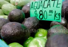 Carestía sin freno, aguacate llega a los 80 pesos