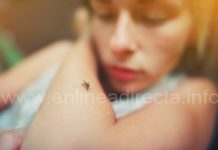 SST exhorta a la población a no automedicarse para evitar complicaciones en casos de dengue