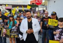 Sigue Mauricio ganando encuestas