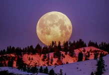 ¡No te lo pierdas! ¿Cuándo y a qué hora ver la Luna rosa llena de abril en México?