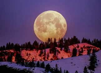 ¡No te lo pierdas! ¿Cuándo y a qué hora ver la Luna rosa llena de abril en México?