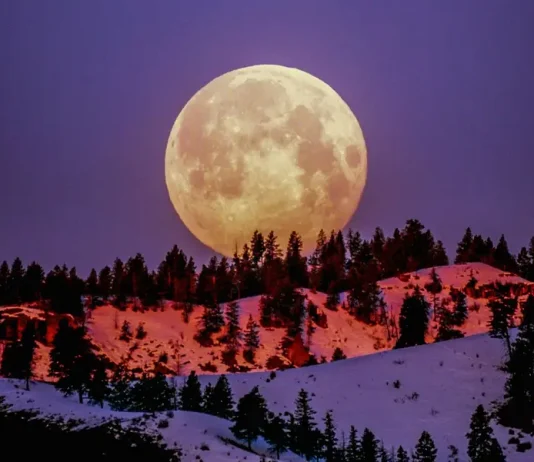 ¡No te lo pierdas! ¿Cuándo y a qué hora ver la Luna rosa llena de abril en México?