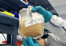 Cultivan un ‘minihígado’ en un paciente