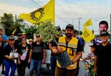 Vamos a reforestar la plaza principal: Mauricio.