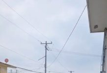 Accidente vial deja una persona sin vida y cuantiosos daños materiales