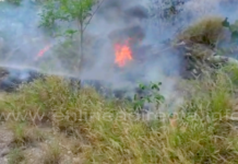 Bomberos acuden ha llamado de incendio en pastizal
