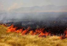 Bomberos acuden ha llamados de incendios en pastizales y predios baldíos