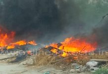 Bomberos sofocan incendio en predio con pastizal dejando daños materiales