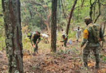 Por fin extinguen incendio en Cañón del Novillo