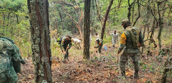 Captura de pantalla 2024-05-27 a la(s) 21.29.08