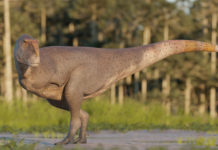 Descubren nueva especie de dinosaurio con brazos diminutos en la Patagonia