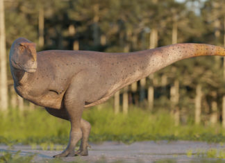 Descubren nueva especie de dinosaurio con brazos diminutos en la Patagonia