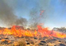 Exhortan a denunciar a ecólocos que ocasiona daños ambientales