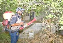 SST emitr recomendaciones contra dengue