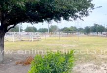 Hallan a joven tirada en colonia popular y la auxilian
