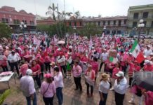 Realizaron la concentración ciudadana “En defensa de la República” o “Marea Rosa”