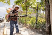 Madero tiene más de 20 casos de dengue