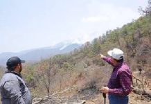 Supervizan área afectada por el fuego en el Cañón del Novillo