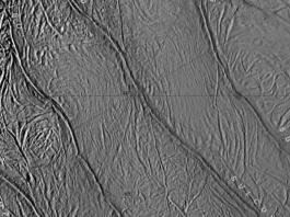 Luna de Saturno revela ‘rayas de tigre’ y océano subterráneo; analizan que exista vida